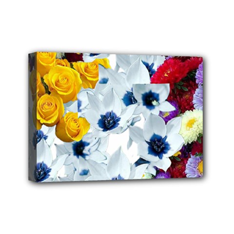 Backgrounderaser 20220502 021714655 Mini Canvas 7  X 5  (stretched) by marthatravis1968