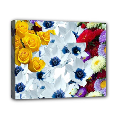 Backgrounderaser 20220502 021714655 Canvas 10  X 8  (stretched) by marthatravis1968