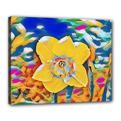 Full Bloom Canvas 20  X 16  (stretched) by thedaffodilstore