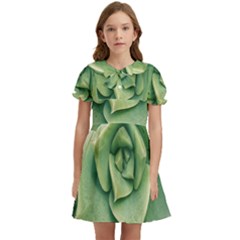 Echeveria Imbricata Closeup Photo Kids  Bow Tie Puff Sleeve Dress by dflcprintsclothing