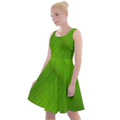 Banana Leaf Knee Length Skater Dress by artworkshop