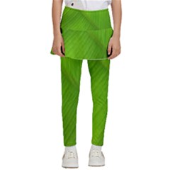 Banana Leaf Kids  Skirted Pants by artworkshop