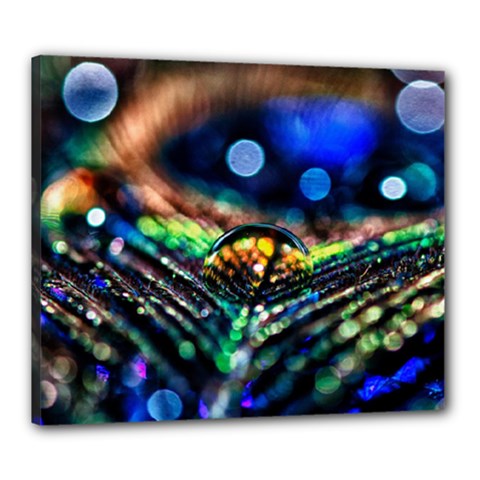 Peacock Feather Drop Canvas 24  X 20  (stretched) by artworkshop