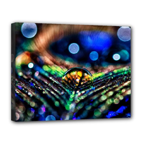 Peacock Feather Drop Canvas 14  X 11  (stretched) by artworkshop