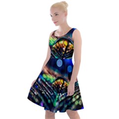 Peacock Feather Drop Knee Length Skater Dress by artworkshop