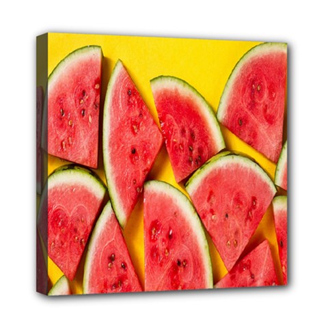 Watermelon Mini Canvas 8  X 8  (stretched) by artworkshop