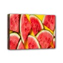 Watermelon Mini Canvas 7  x 5  (Stretched) View1
