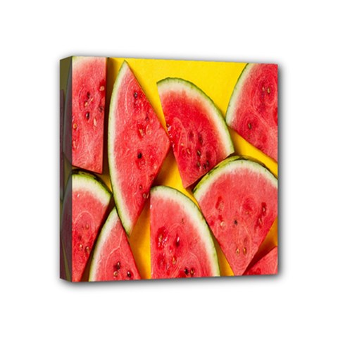 Watermelon Mini Canvas 4  X 4  (stretched) by artworkshop