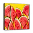 Watermelon Mini Canvas 8  x 8  (Stretched) View1