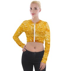 Water Long Sleeve Cropped Velvet Jacket by artworkshop