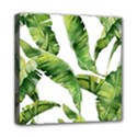 Sheets Tropical Plant Palm Summer Exotic Mini Canvas 8  x 8  (Stretched) View1