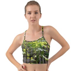 Bitter Melon Mini Tank Bikini Top by artworkshop
