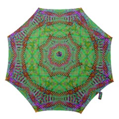 Whimsy Mint Hook Handle Umbrellas (medium) by Thespacecampers
