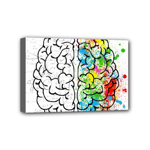 Brain-mind-psychology-idea-drawing Mini Canvas 6  X 4  (stretched) by Jancukart