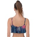Astronaut-moon-space-nasa-planet Frill Bikini Top View2