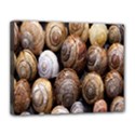 Snail Shells Pattern Arianta Arbustorum Canvas 14  x 11  (Stretched) View1
