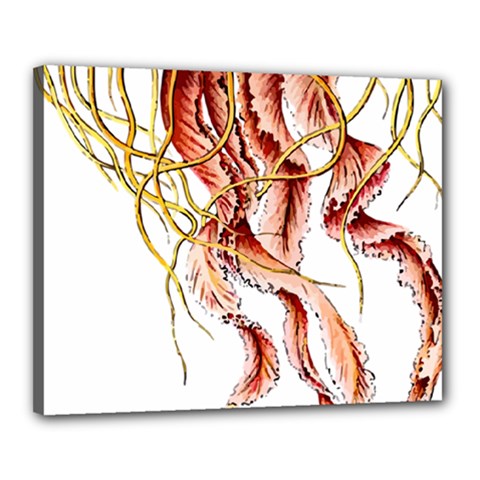 Animal Art Forms In Nature Jellyfish Canvas 20  X 16  (stretched) by Sapixe