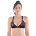 Beautiful Peacock Feather Plunge Bikini Top View1