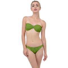 Oak Tree Nature Ongoing Pattern Classic Bandeau Bikini Set by Mariart