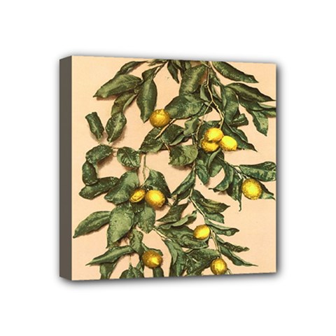 A Vintage Bunch Of Lemons Mini Canvas 4  X 4  (stretched) by ConteMonfrey