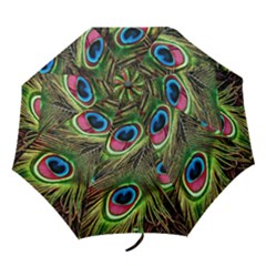 Peacock Feathers Color Plumage Folding Umbrellas by Celenk