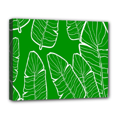 Green Banana Leaves Canvas 14  X 11  (stretched) by ConteMonfrey