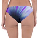 Mirror Fractal Reversible Hipster Bikini Bottoms View2