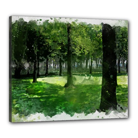 Beeches Trees Tree Lawn Forest Nature Canvas 24  X 20  (stretched) by Wegoenart