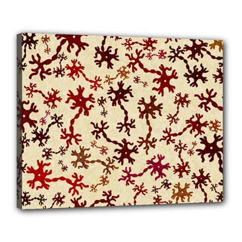 Neuron Nerve Cell Neurology Canvas 20  X 16  (stretched) by Ravend