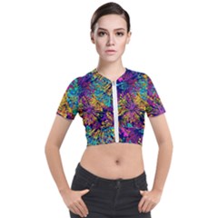 Illustration Graphics Design Art Short Sleeve Cropped Jacket by Wegoenart