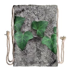 Vine On Damaged Wall Photo Drawstring Bag (large) by dflcprintsclothing