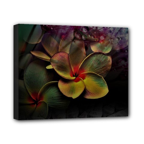 Beautiful Floral Canvas 10  X 8  (stretched) by Sparkle