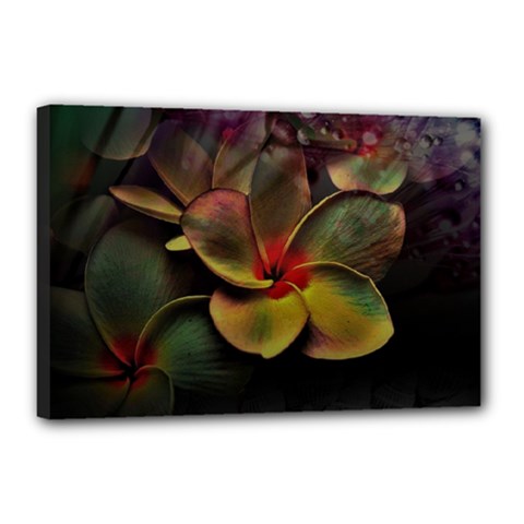 Beautiful Floral Canvas 18  X 12  (stretched) by Sparkle