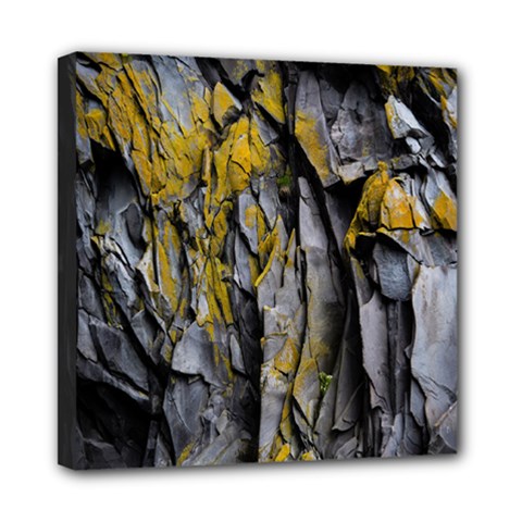 Rock Wall Crevices  Mini Canvas 8  X 8  (stretched) by artworkshop
