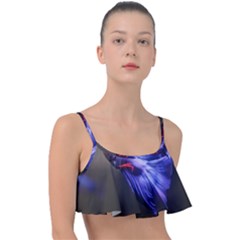 Betta Fish Photo And Wallpaper Cute Betta Fish Pictures Frill Bikini Top by StoreofSuccess