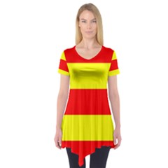 Aust Agder Flag Short Sleeve Tunic  by tony4urban