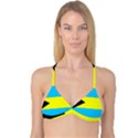Bahamas Reversible Tri Bikini Top View1