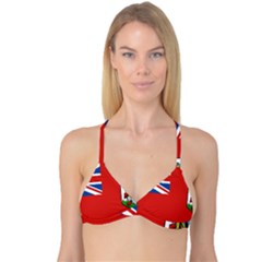 Bermuda Reversible Tri Bikini Top by tony4urban