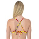 Kosicky Flag Reversible Tri Bikini Top View2