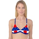 Netherlands Antilles Reversible Tri Bikini Top View1