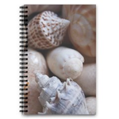 Beautiful Seashells  5 5  X 8 5  Notebook by StarvingArtisan