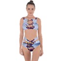 Berwyn Car Kebob Bandaged Up Bikini Set  View1