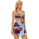Berwyn Car Kebob Vintage Style Bikini Top and Skirt Set  View3