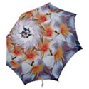 Daisy Painting  Hook Handle Umbrellas (Small) View2