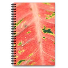 Aglonema Leaf Plant Pattern Flora 5 5  X 8 5  Notebook by danenraven