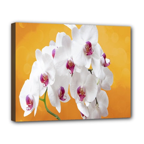 Boards Decoration Flower Flower Room Canvas 14  X 11  (stretched) by artworkshop