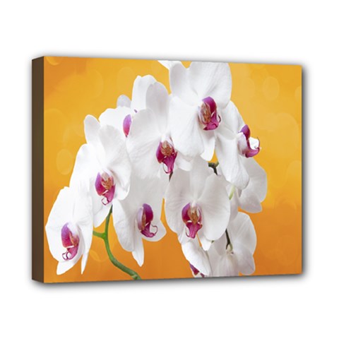 Boards Decoration Flower Flower Room Canvas 10  X 8  (stretched) by artworkshop