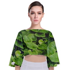 Layered Plant Leaves Iphone Wallpaper Tie Back Butterfly Sleeve Chiffon Top by artworkshop