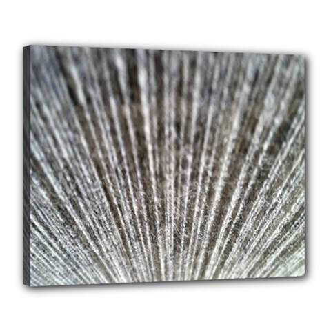 Light Cloud Canvas 20  X 16  (stretched) by artworkshop