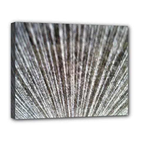 Light Cloud Canvas 14  X 11  (stretched) by artworkshop